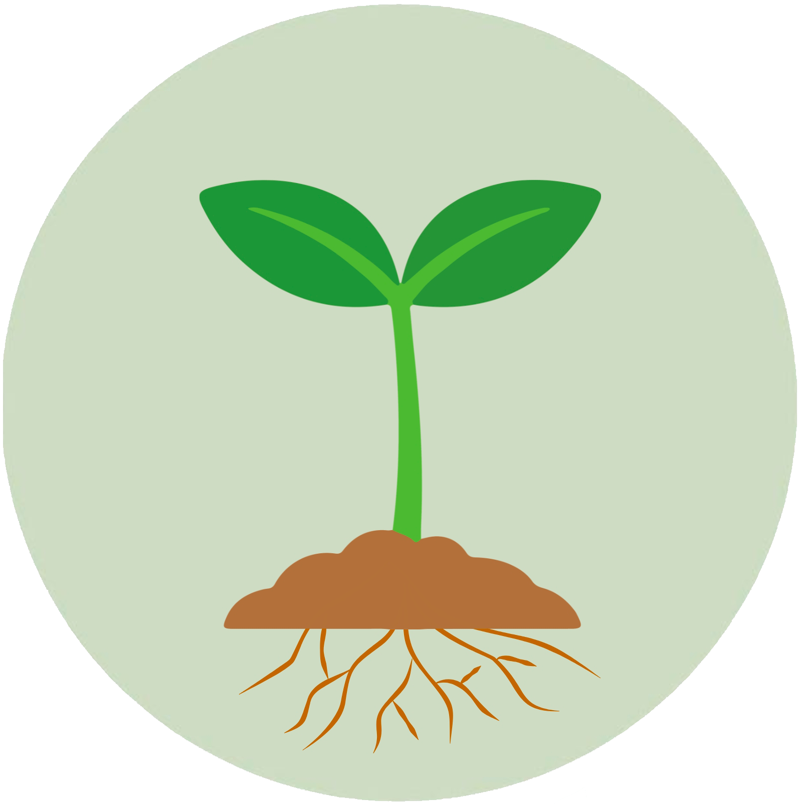 TuxRaiz Logo